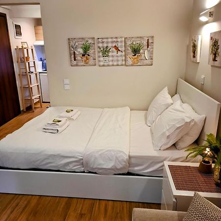 Studio Posh With Garden In Kolonaki Афины Экстерьер фото